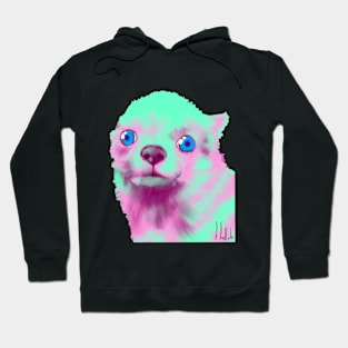 Crazy Chihuahua Hoodie